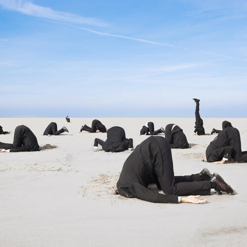 Over horen, zien en lafhartig zwijgen